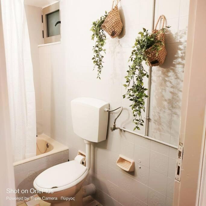 New Modern Flat Pyrgos Centre Olympia * Pyrgos (Elis)