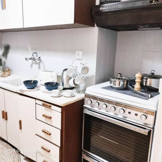 New Modern Flat Pyrgos Centre Olympia *